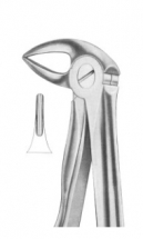  Fig. 33A lower roots 
